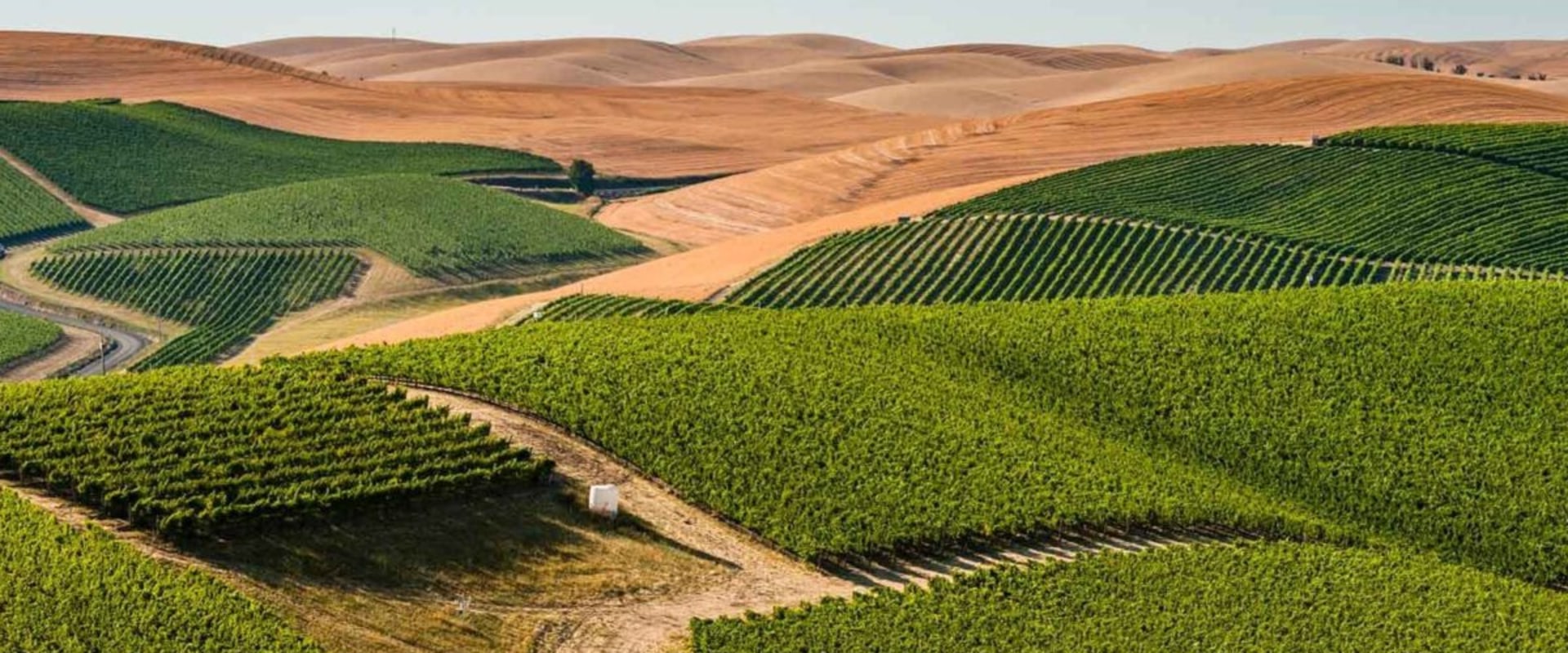 Exploring the Educational and Informational Tours at Wineries in Clark County, Washington