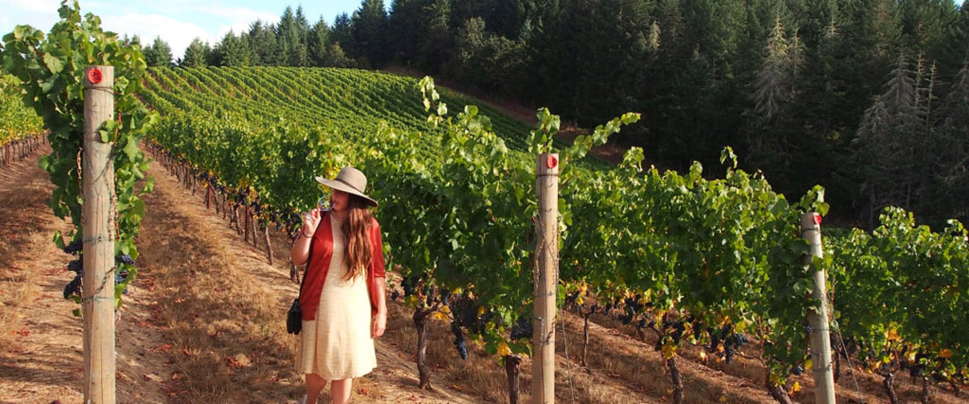 The Rise of Organic Wineries in Clark County, Washington