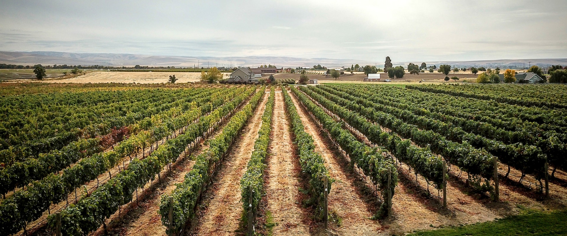 The Average Price Range for Wine at Wineries in Clark County, Washington