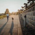 The Ultimate Guide to Pet-Friendly Wineries in Clark County, Washington