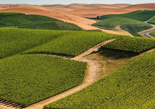 Exploring the Educational and Informational Tours at Wineries in Clark County, Washington