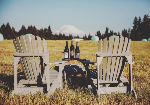 Why Supporting Local Wineries in Clark County, Washington is Crucial