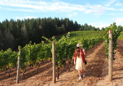 The Rise of Organic Wineries in Clark County, Washington